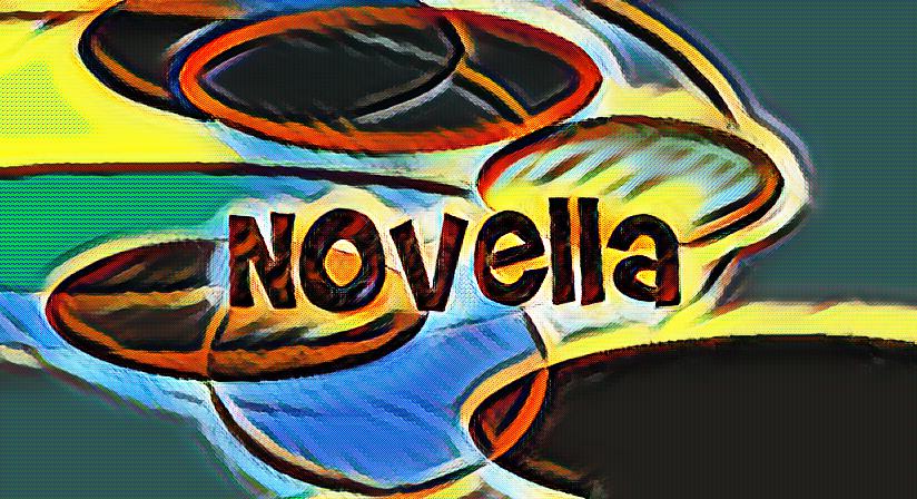 What is a novella and how is it structured?